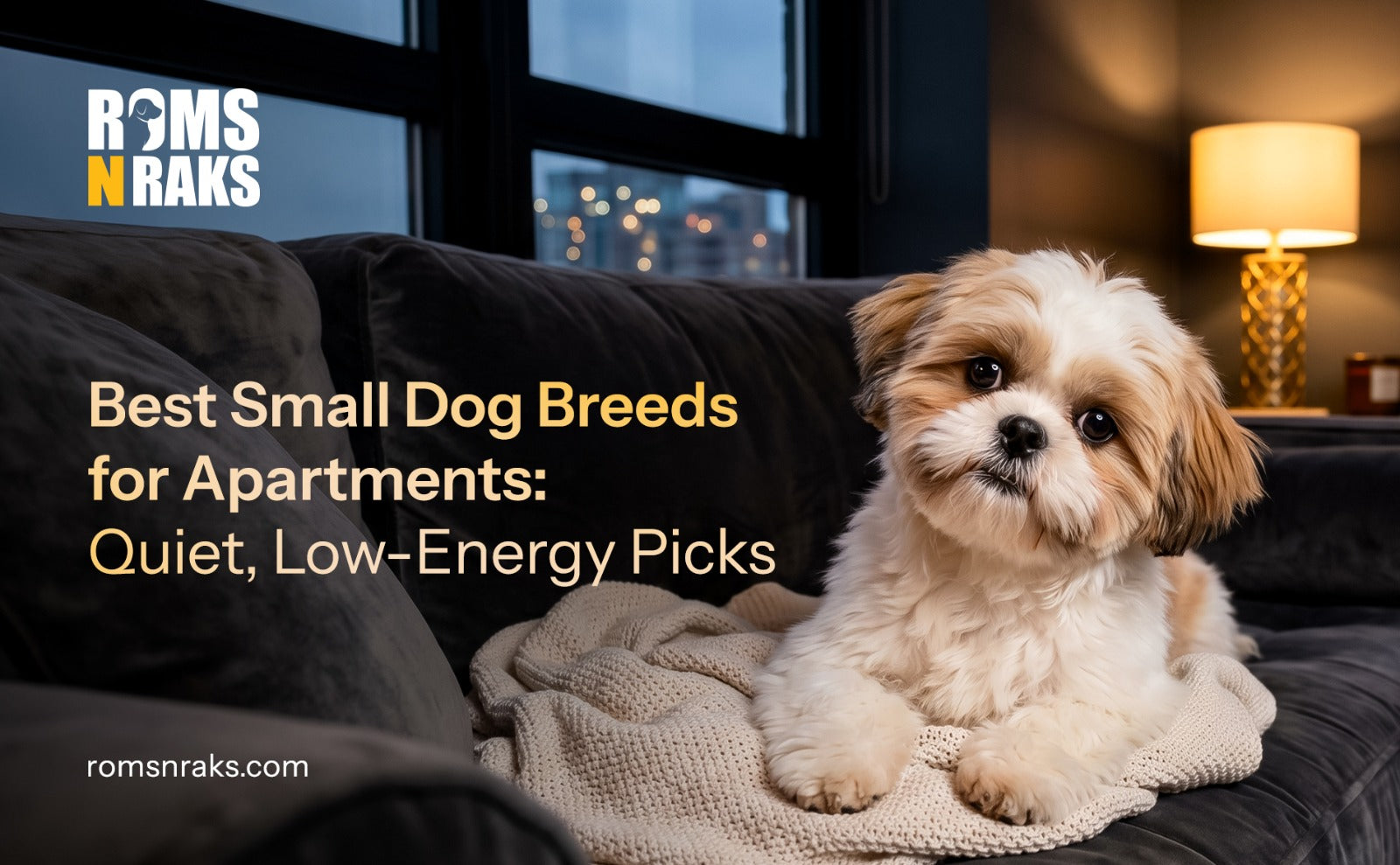 Best Small Dog Breeds for Apartments: Quiet, Low Energy Picks