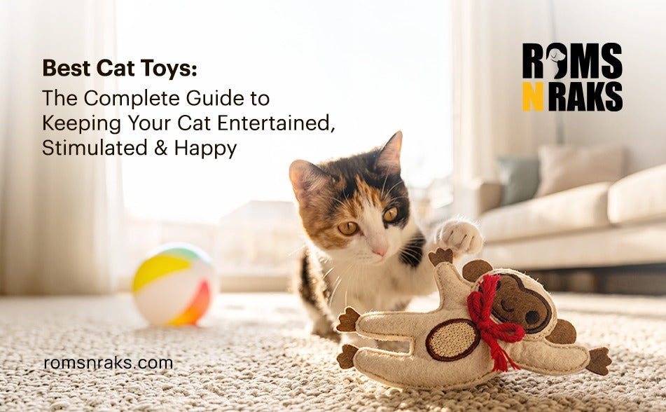 Best Cat Toys: The Complete Guide to Keeping Your Cat Entertained, Stimulated & Happy