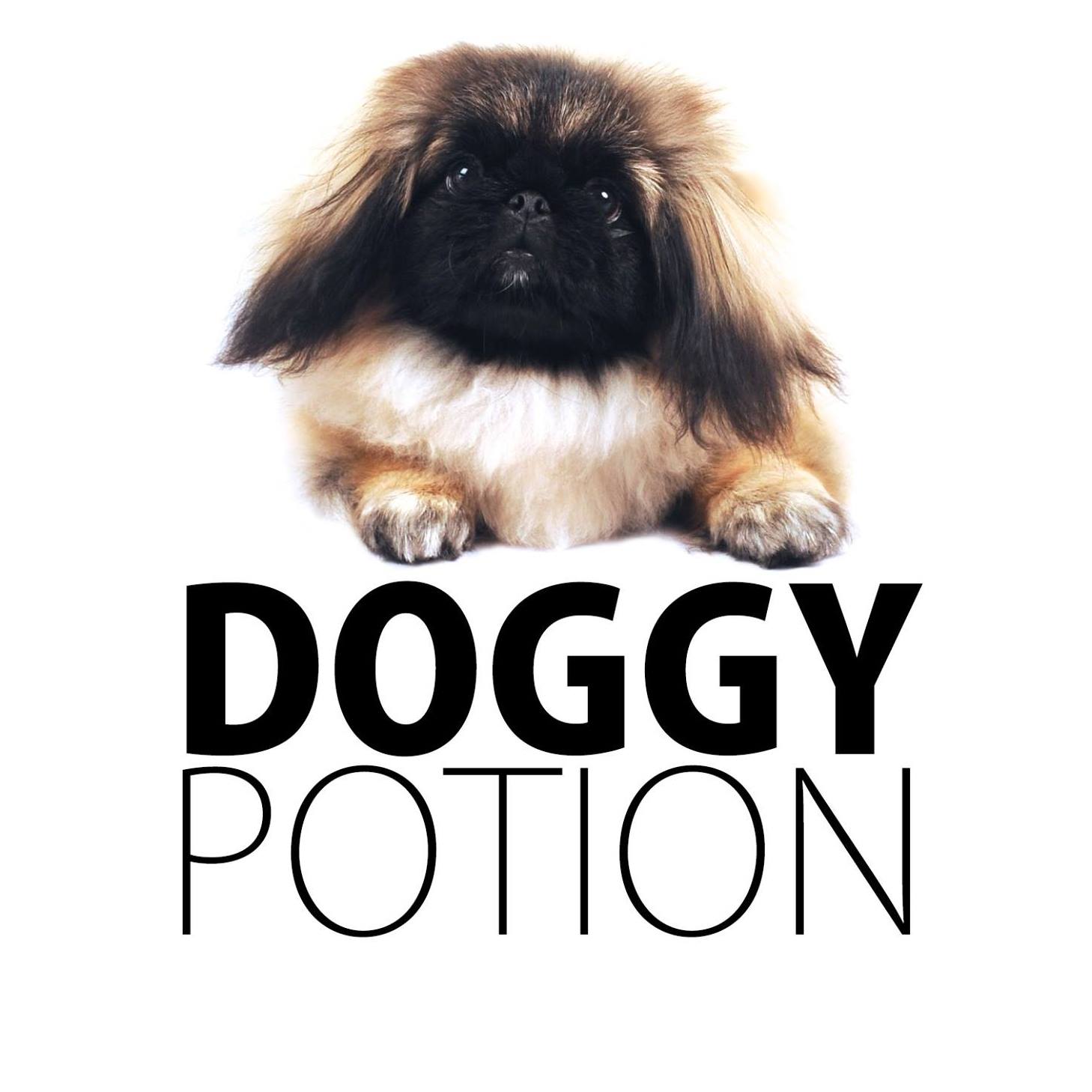 Puppy Potion