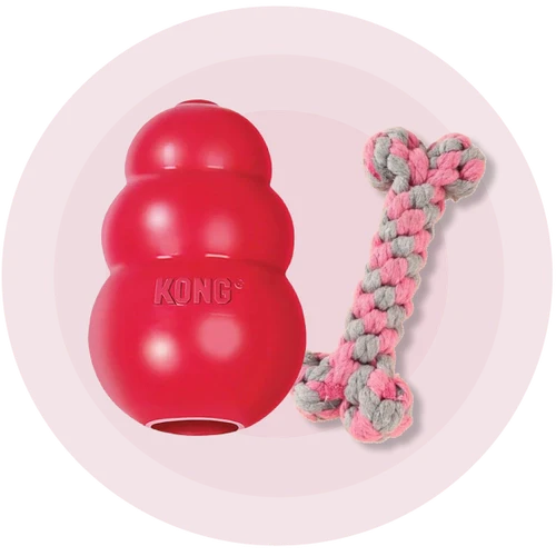 Toys – Roms N Raks
