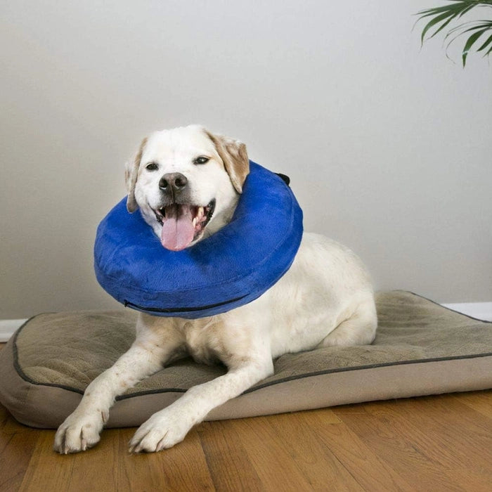 Kong- Cloud Collar for Dogs