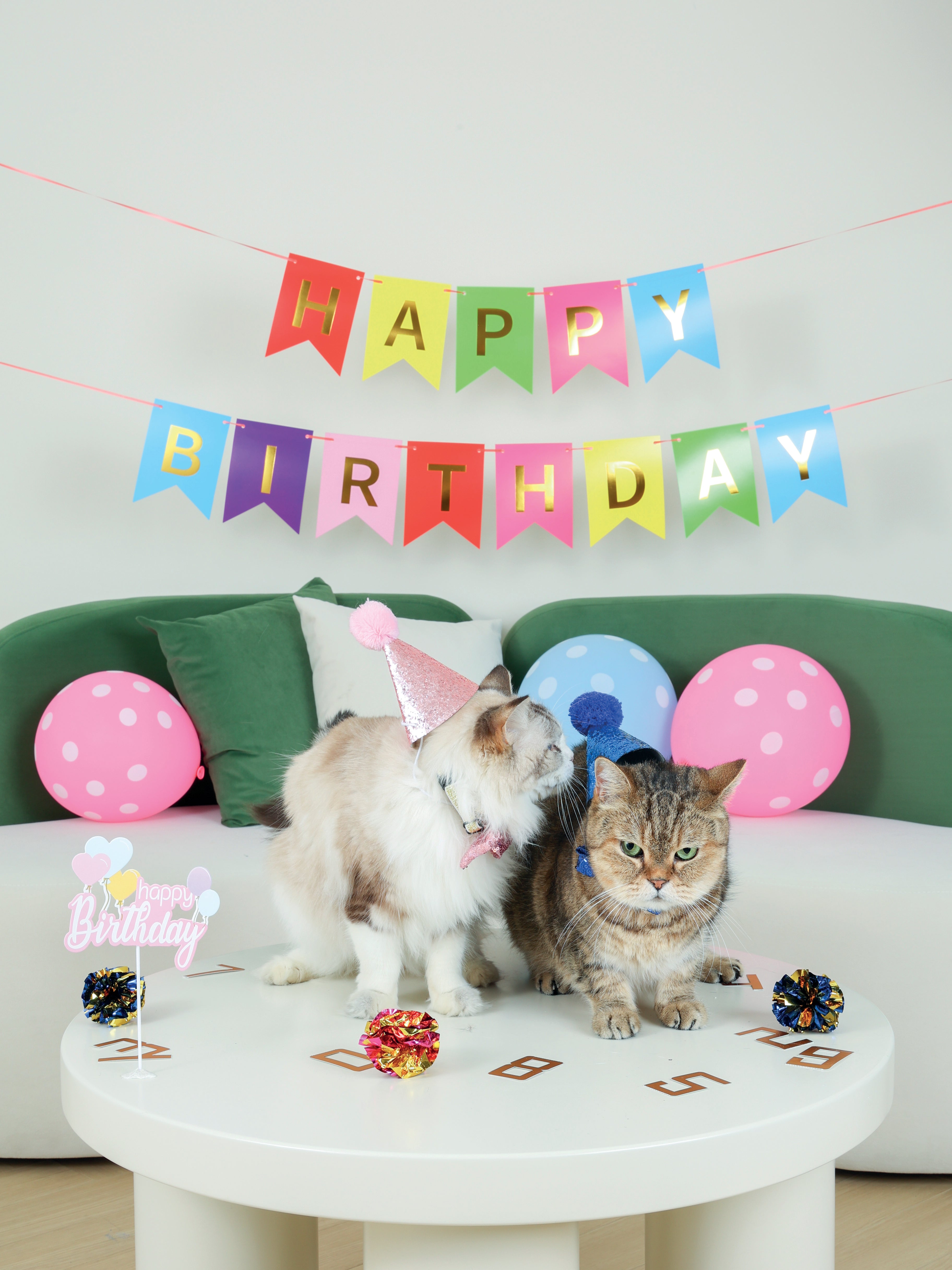 M-Pets Party Time Cat Gentleman's Set