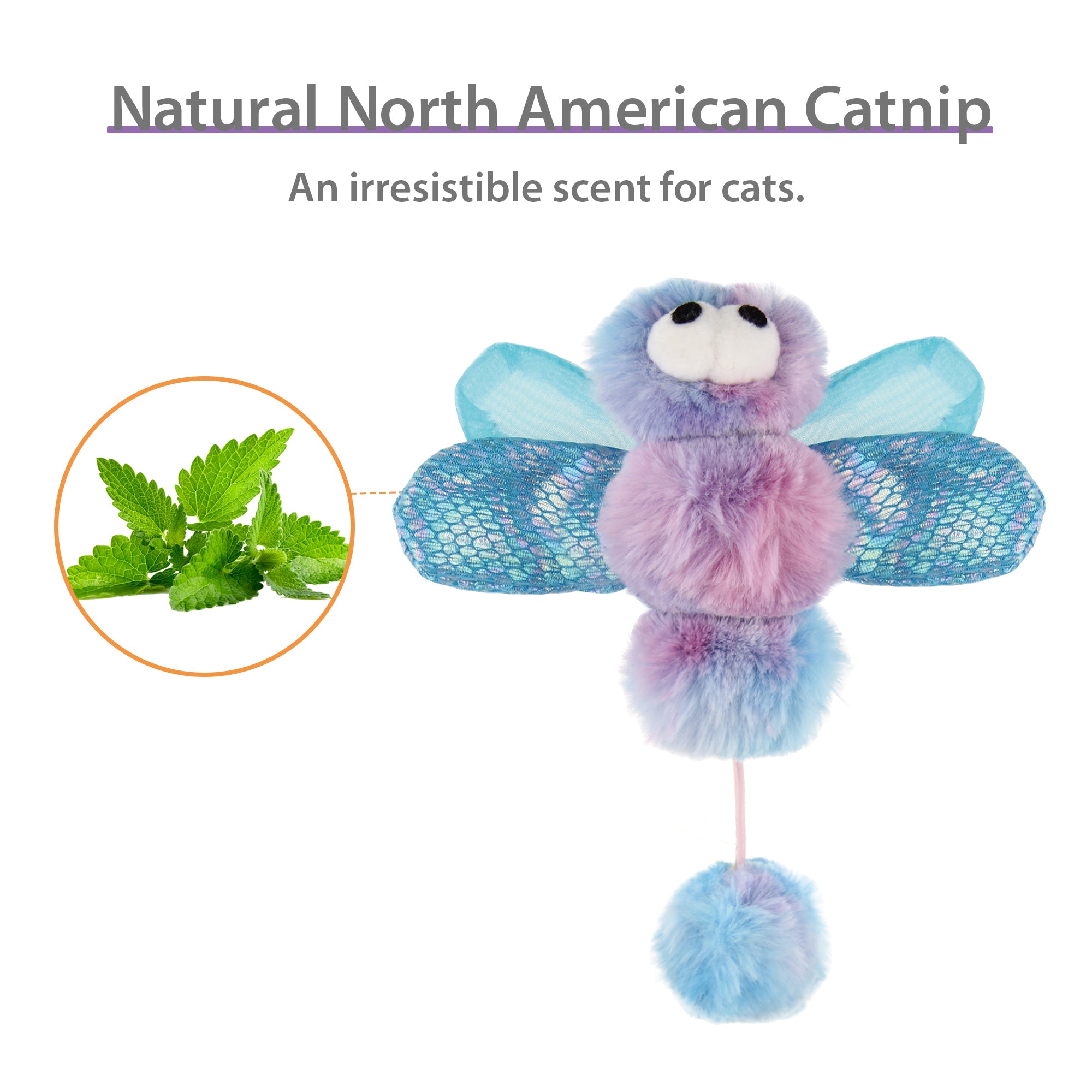 Gigwi Catch and Scratch Dragonfly