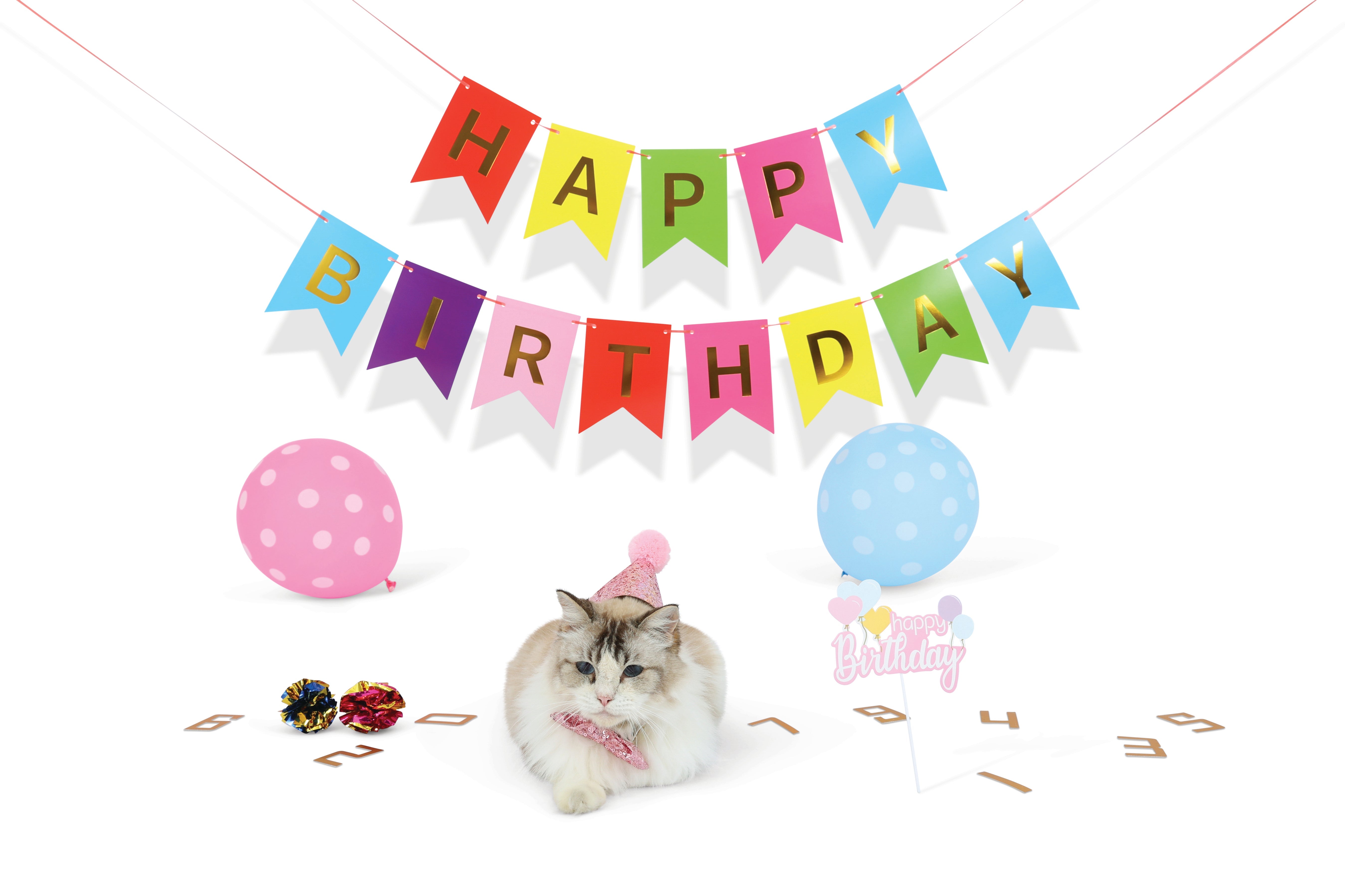 M-pets Party Time Cat Lady's Set