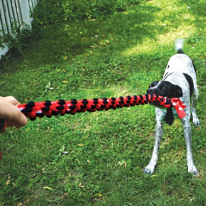 Kong- Signature Double Tug Rope Toy