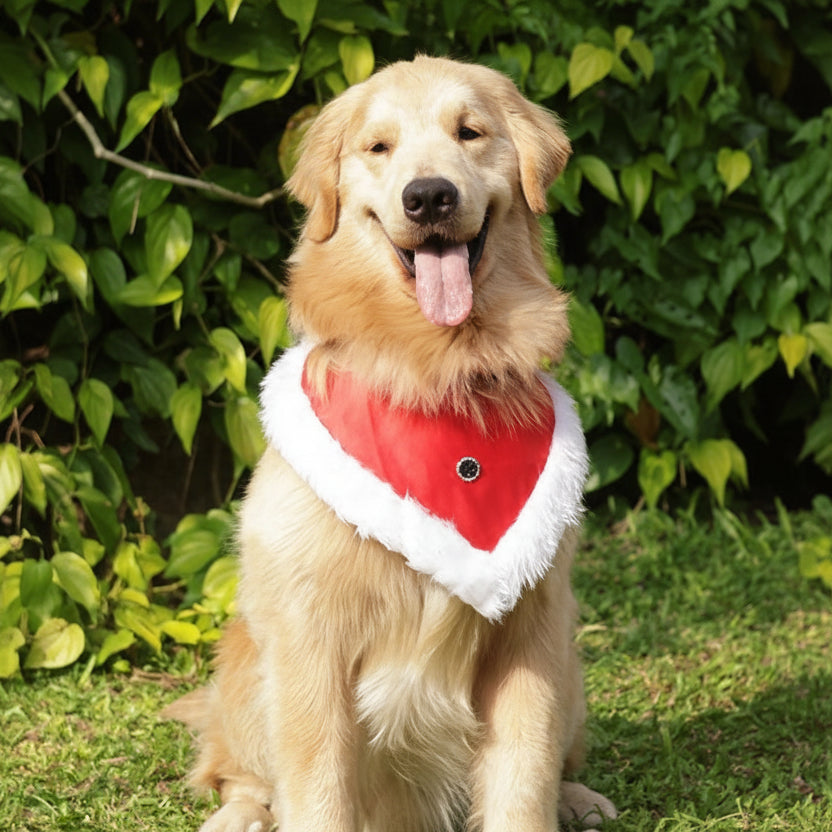 Story Tails Christmas Shearing Bandana