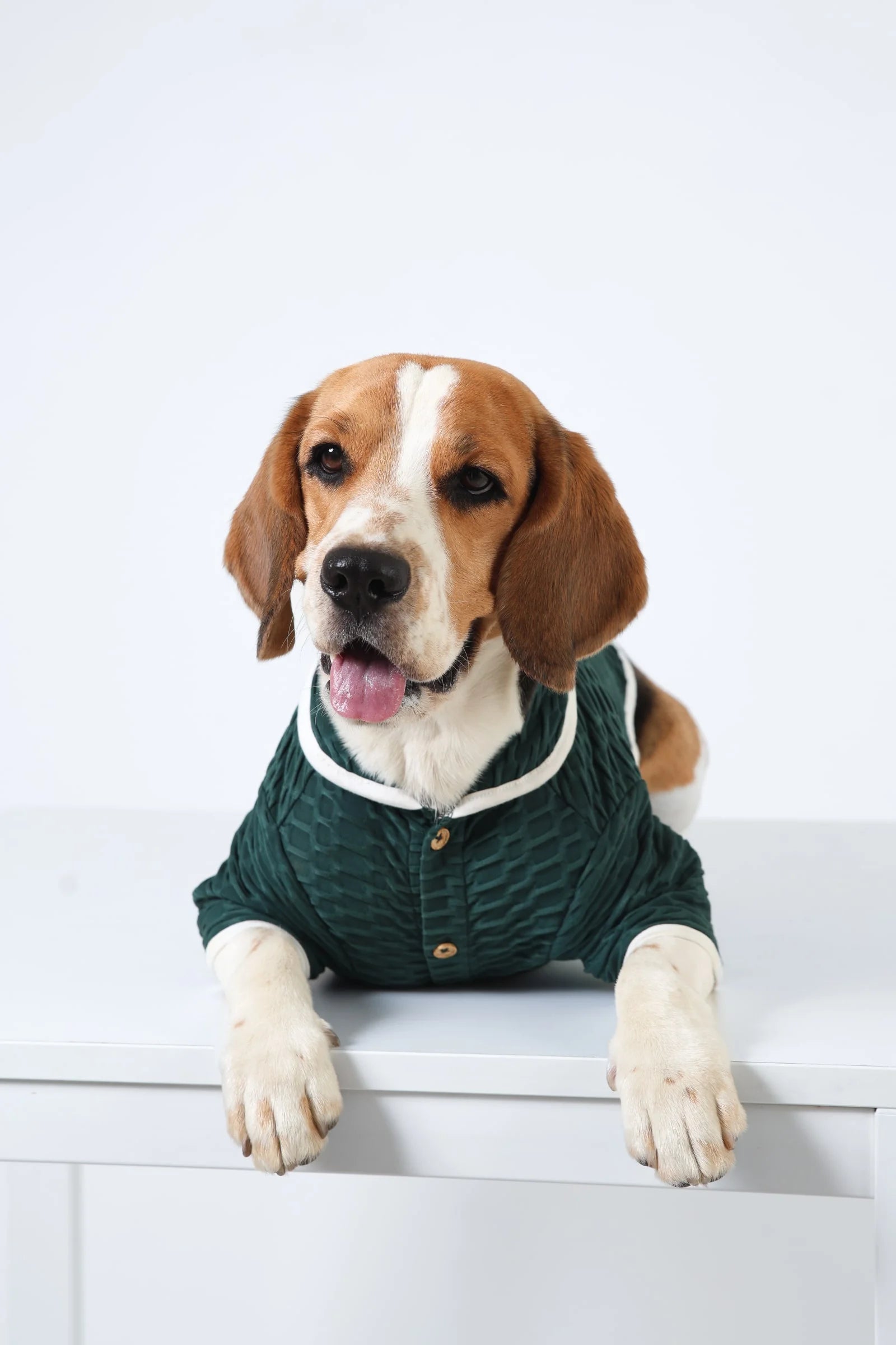 Lemon Tails - Style Ultra Light Textured Dog T-shirt