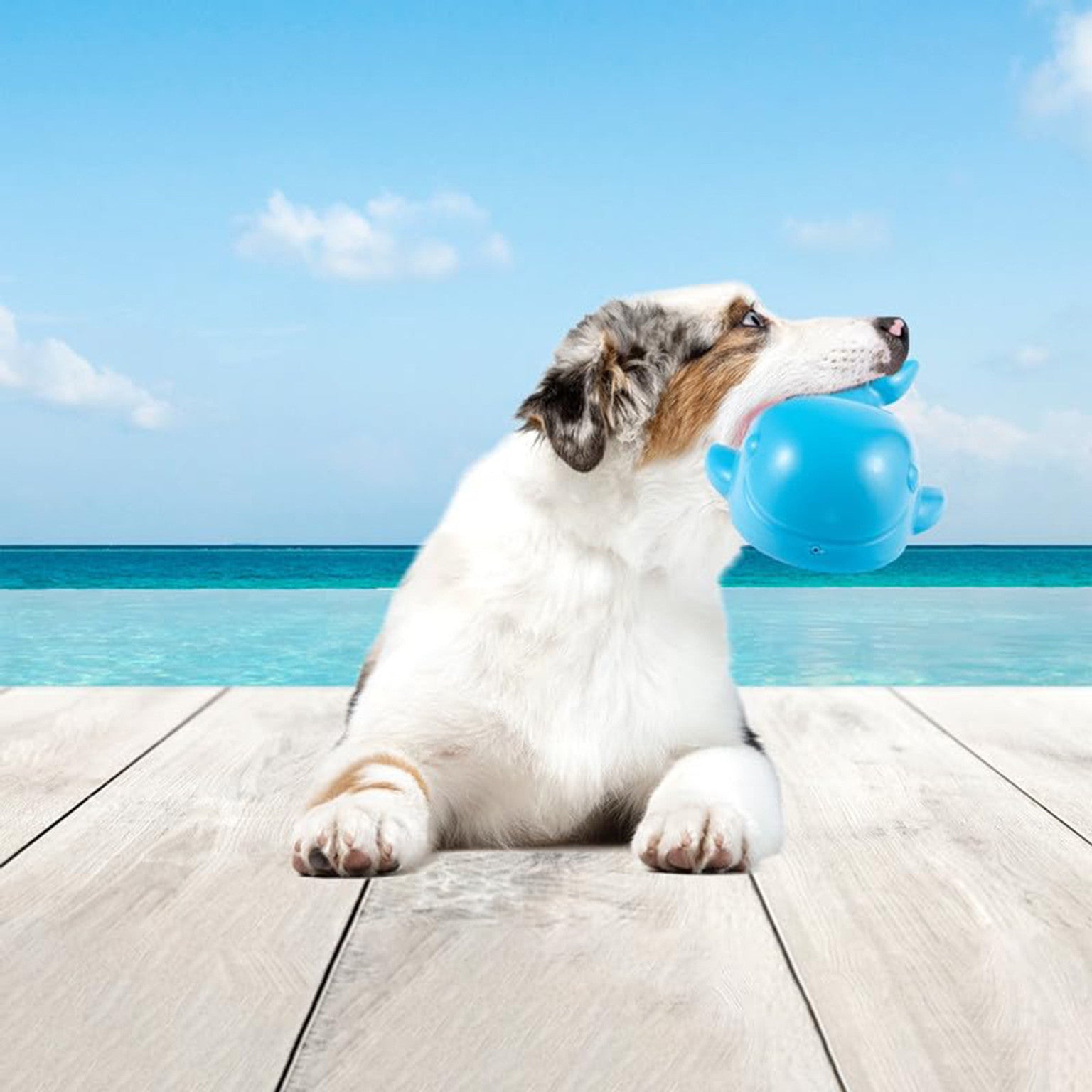 Fofos Tough Dog Toy Whale Dog Toy