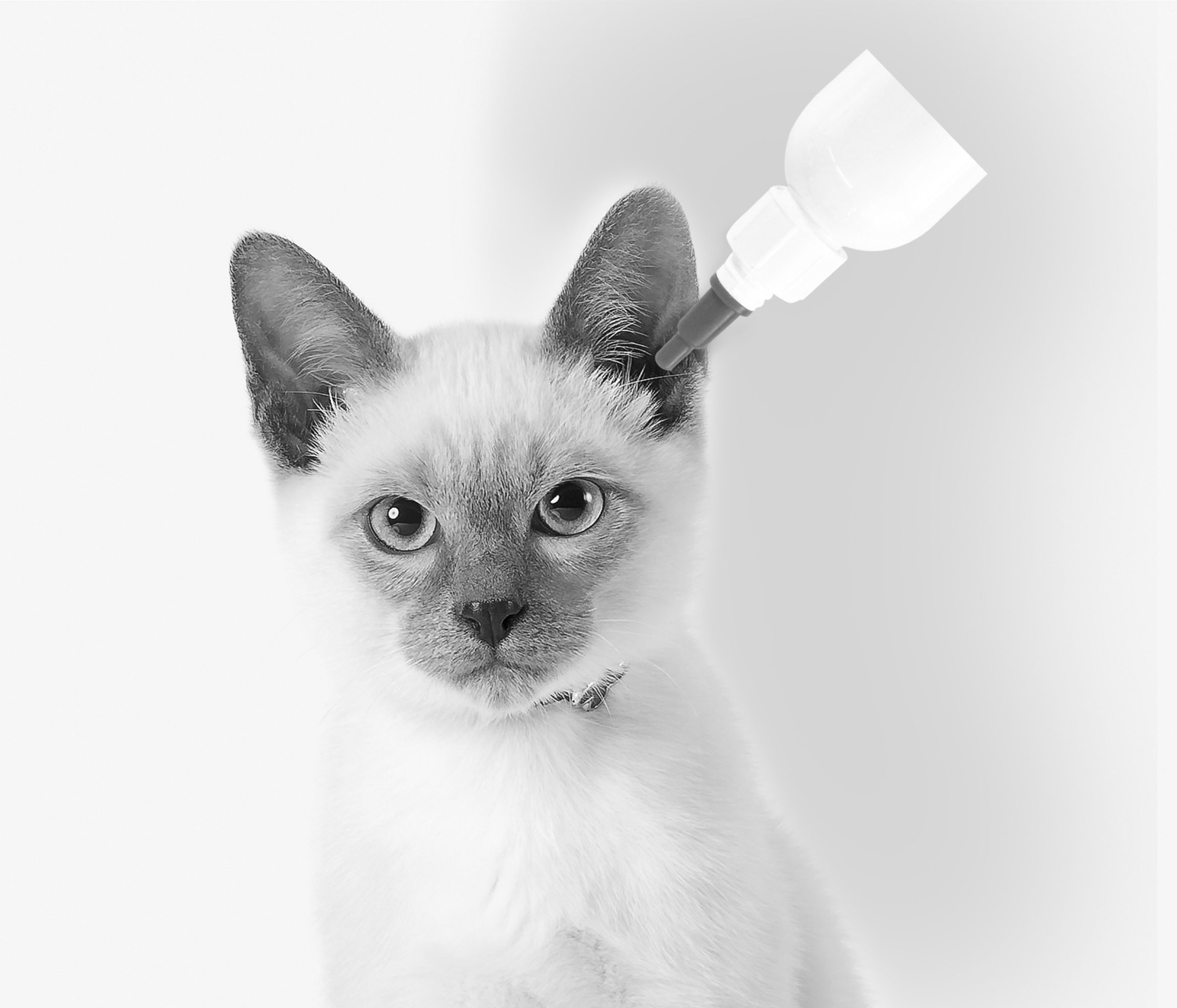 M-Pets Ear Cleaner for Cats