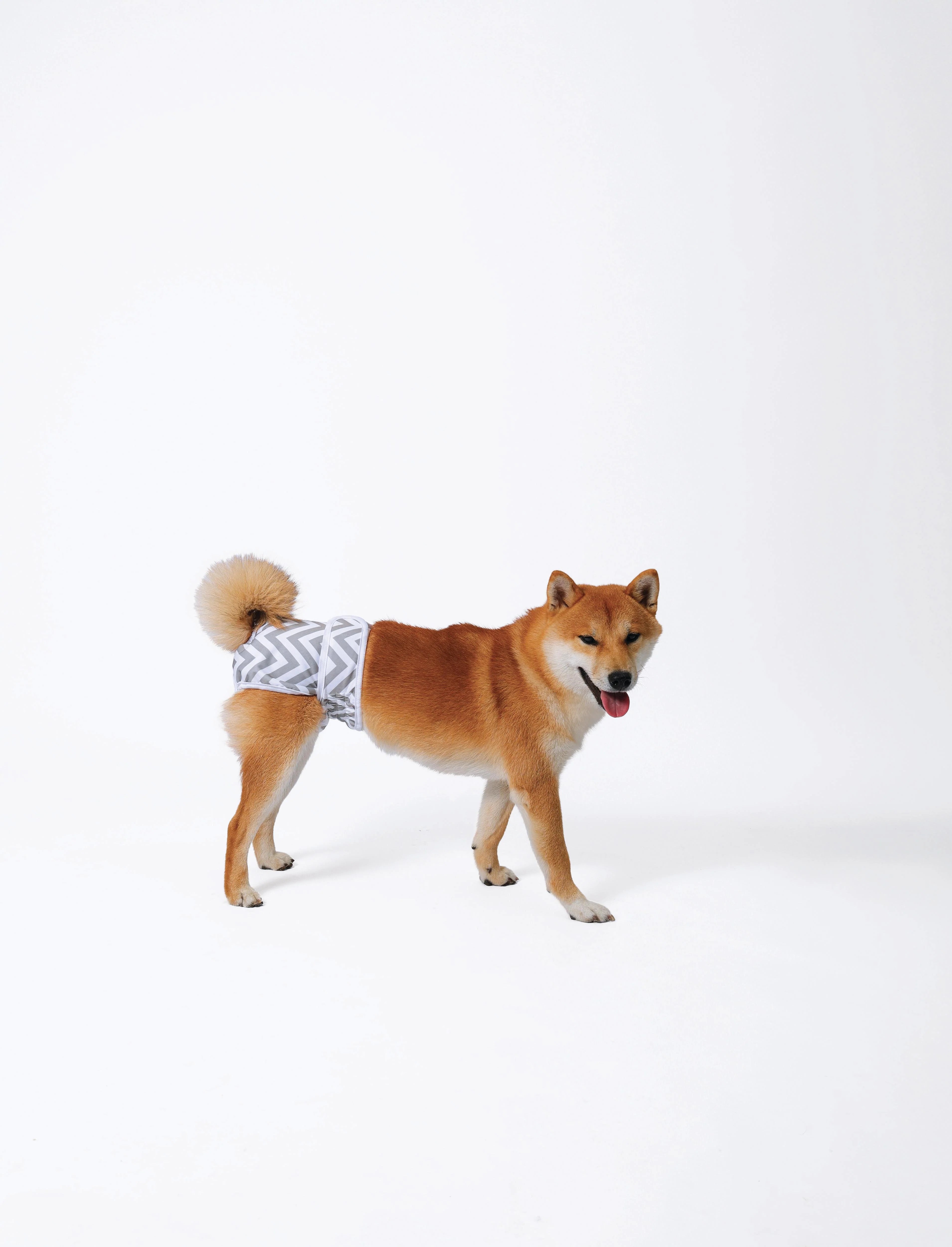 M Pets Washable Diapers for Female Dogs