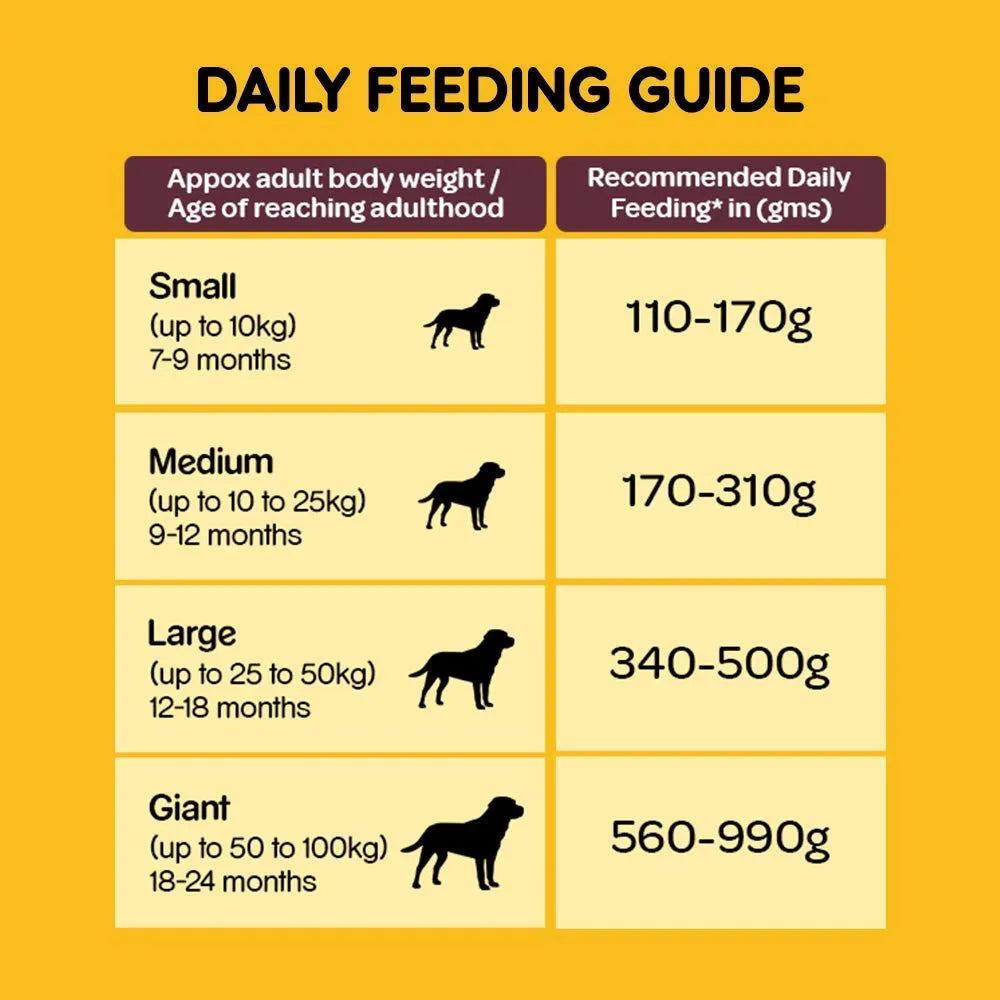 Pedigree-Meat and Rice Flavour Adult Dog Dry Foods