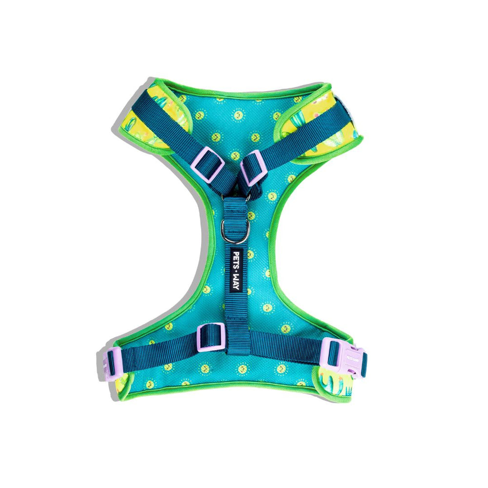 Pets Way Vest Harness For Dogs