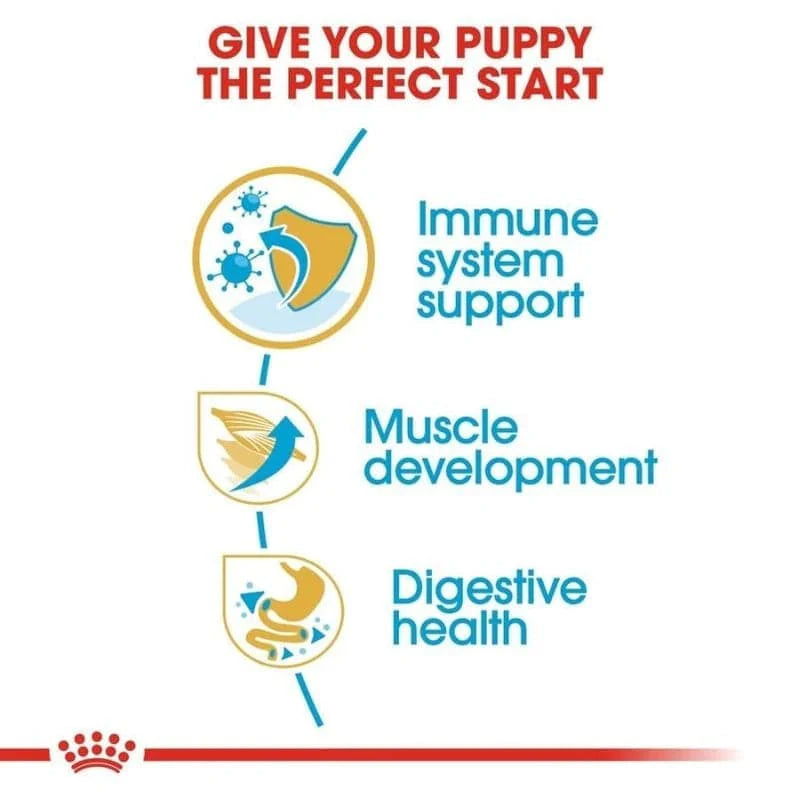 Royal Canin- Boxer Puppy Dog Dry Food