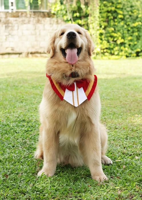 Story Tails - Christmas Bandana for Dogs