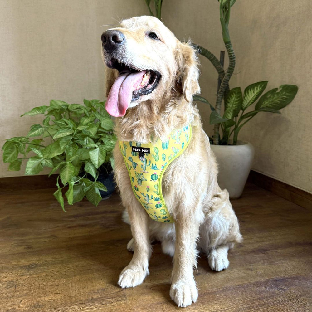 Pets Way Vest Harness For Dogs