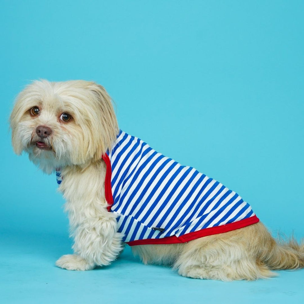 Pets Way Anchor Fetch Vest for Dogs