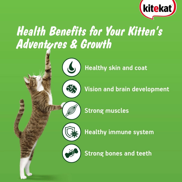 Kitekat- Kitten Dry Cat Food Ocean Fish Flavour