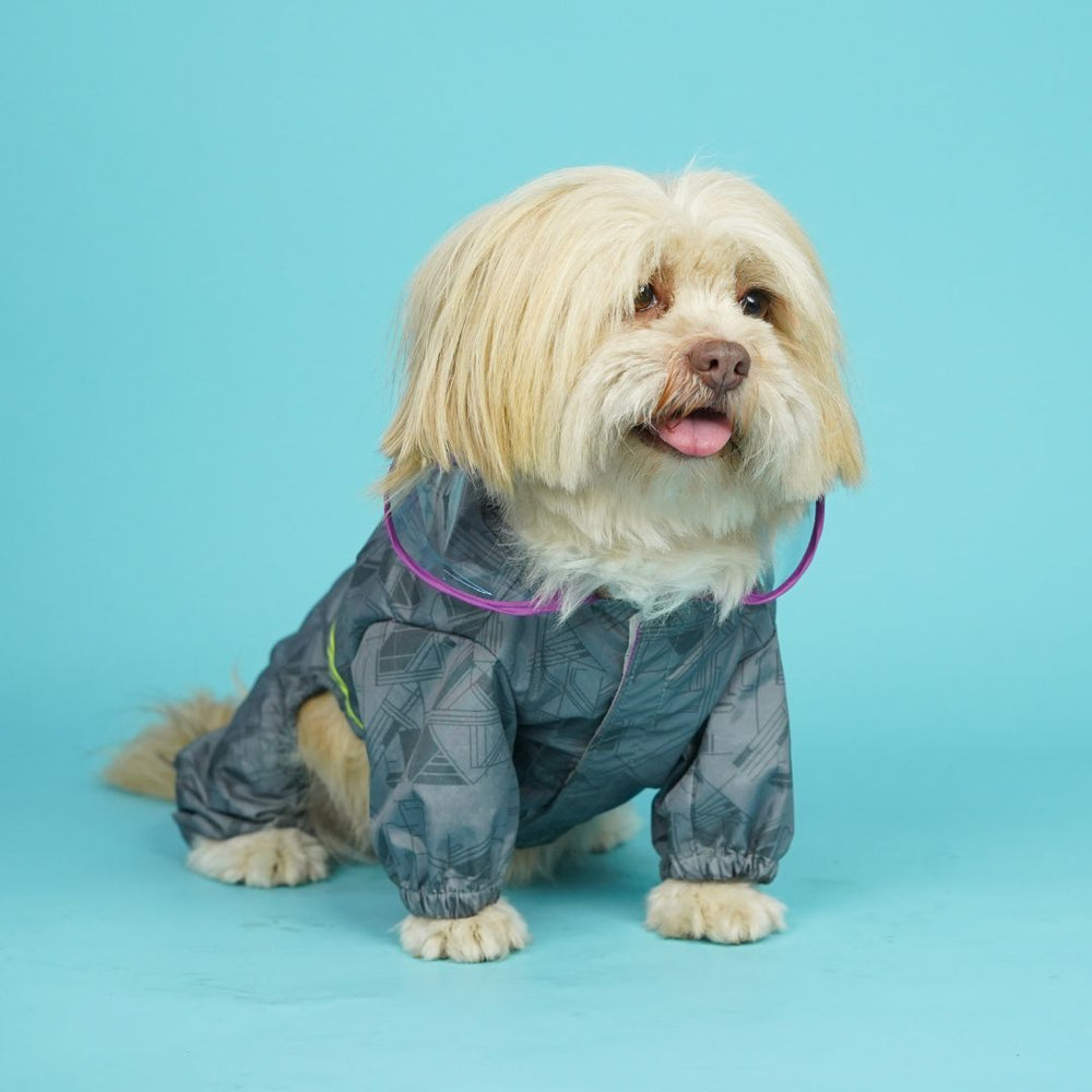 Pets Way Dog Raincoat Furcast Dust for Dogs