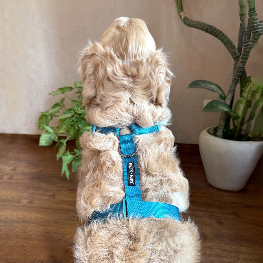 Pets Way Vest Harness For Dogs