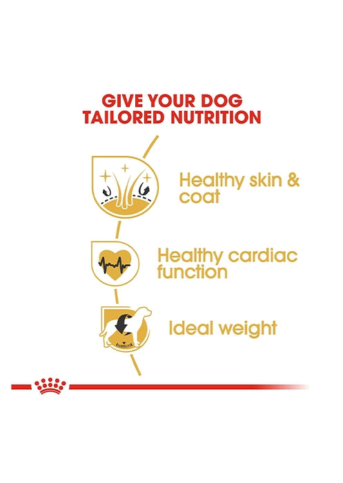 Royal Canin -Food for  Golden Retriever Adult Over 15 months