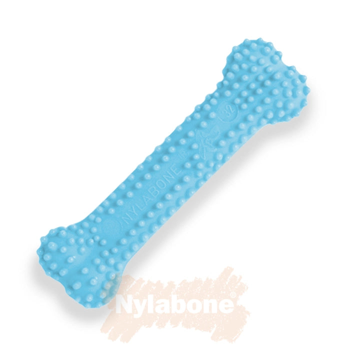 Nylabone-Chicken Puppy Blue Dental Bone