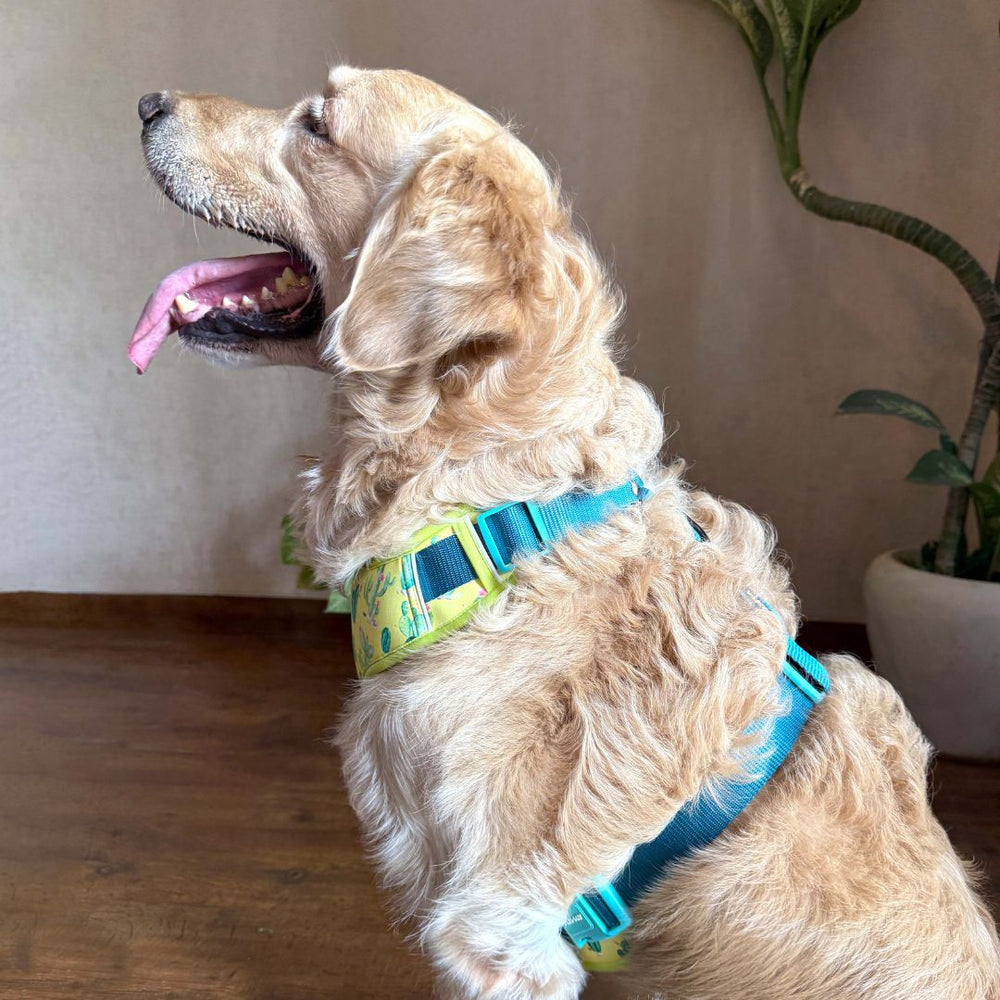 Pets Way Vest Harness For Dogs