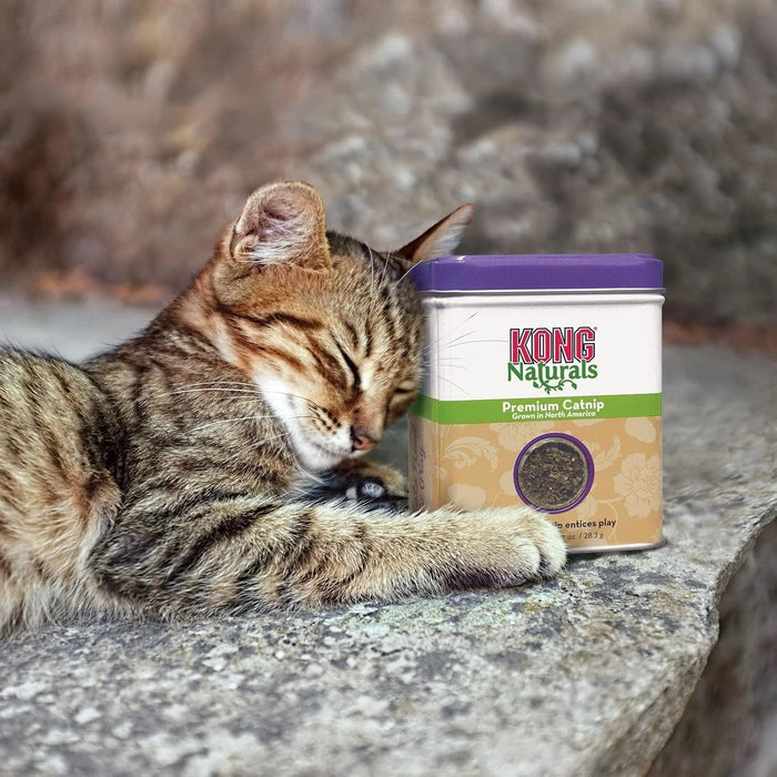 Kong-Naturals Catnip 1 Oz