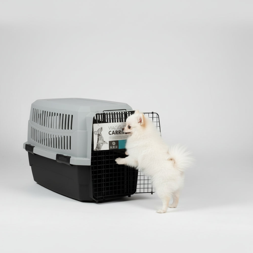 M Pets Viaggio Carrier Bordeau