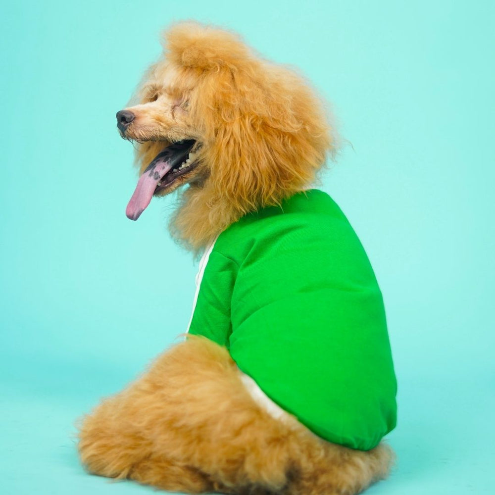 Pets Way Dive In Stripes Forest T-Shirt for Dogs
