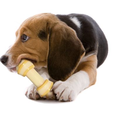 Nylabone Moderate Chew Knot