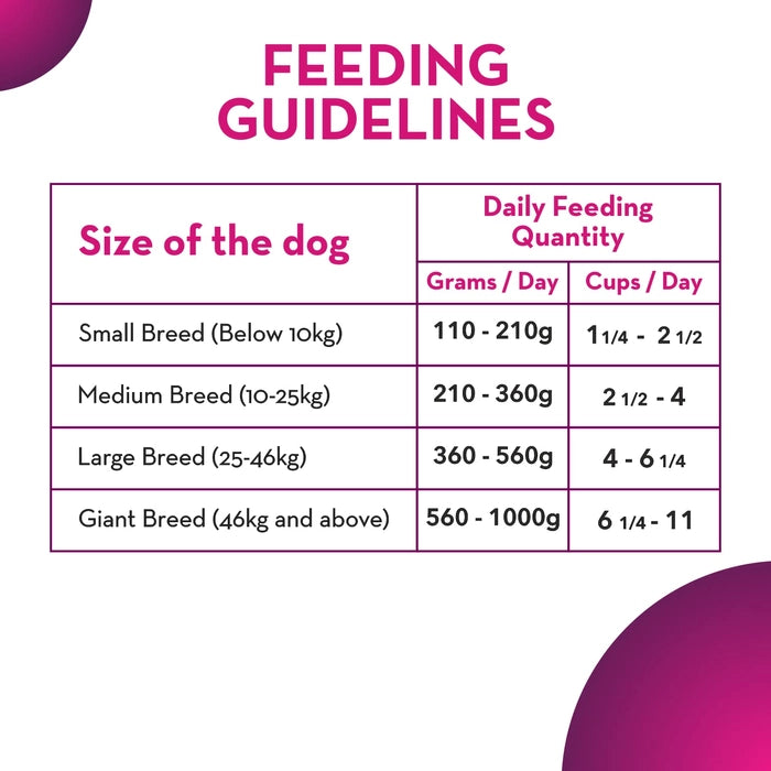 Maxi- Adult Dry Dog Food with Chicken and Liver