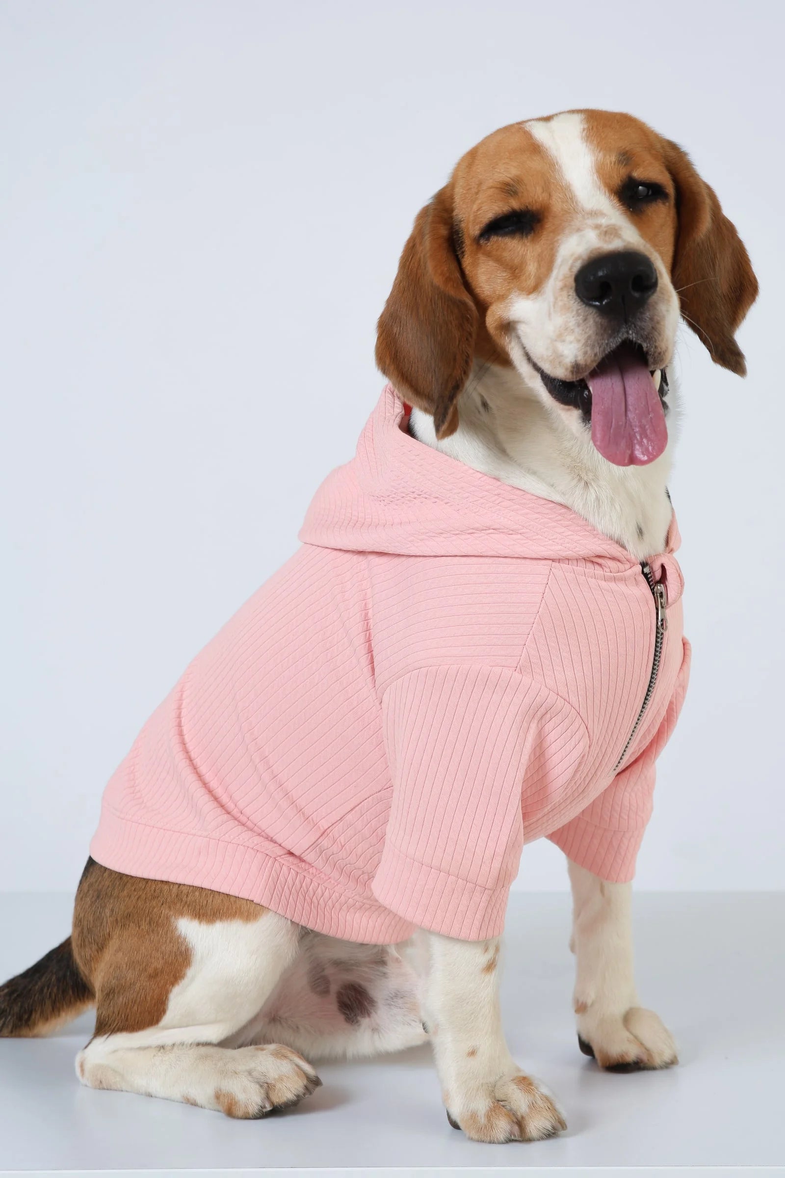 Lemon Tails - Mlt 3C style Ultra Light Dog Zip Hoodies