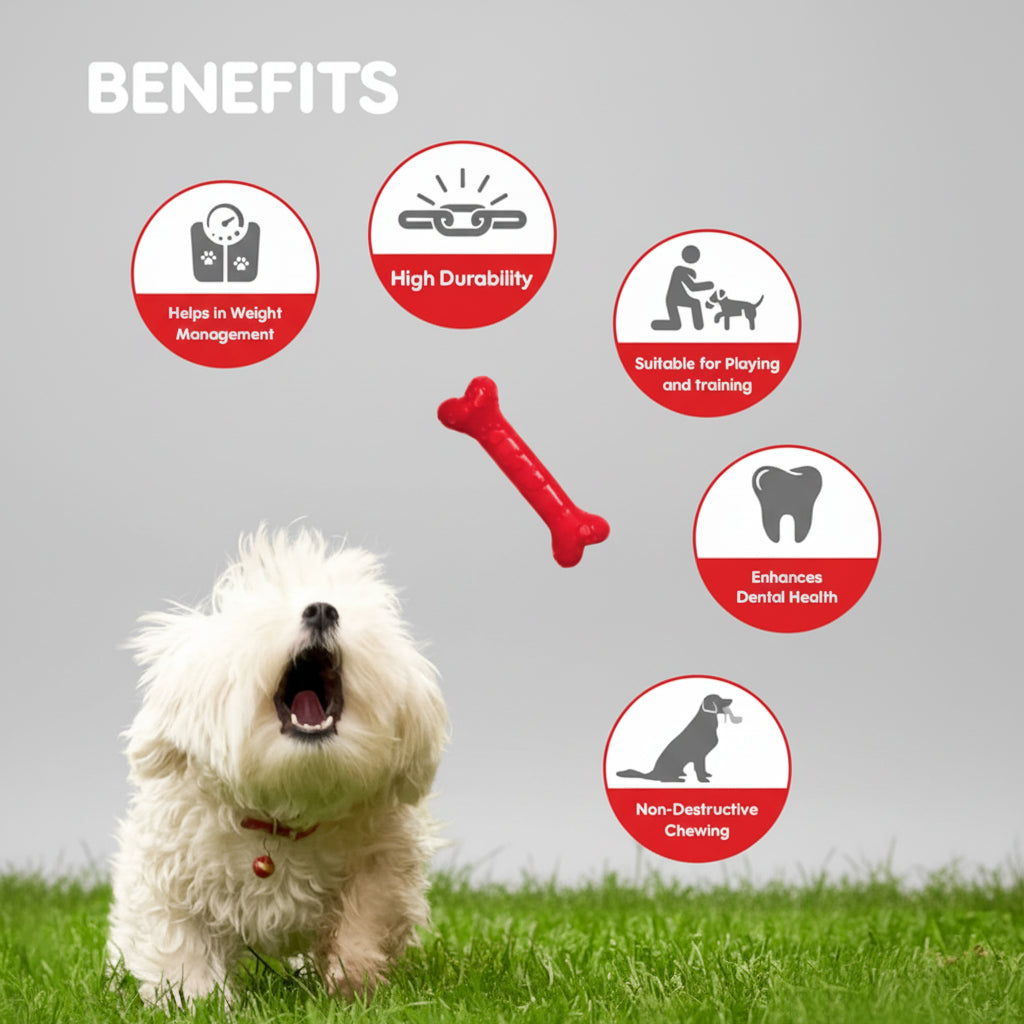 Drools Chew Bone Teething Toy