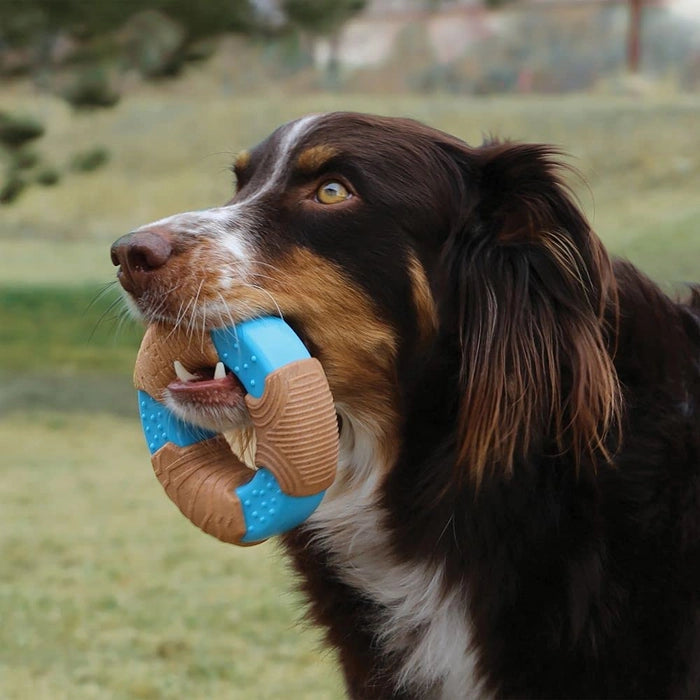 Kong - CoreStrength Bamboo Ring Long Chew Toy