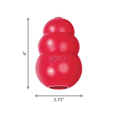 Kong- Classic Toy for Dogs