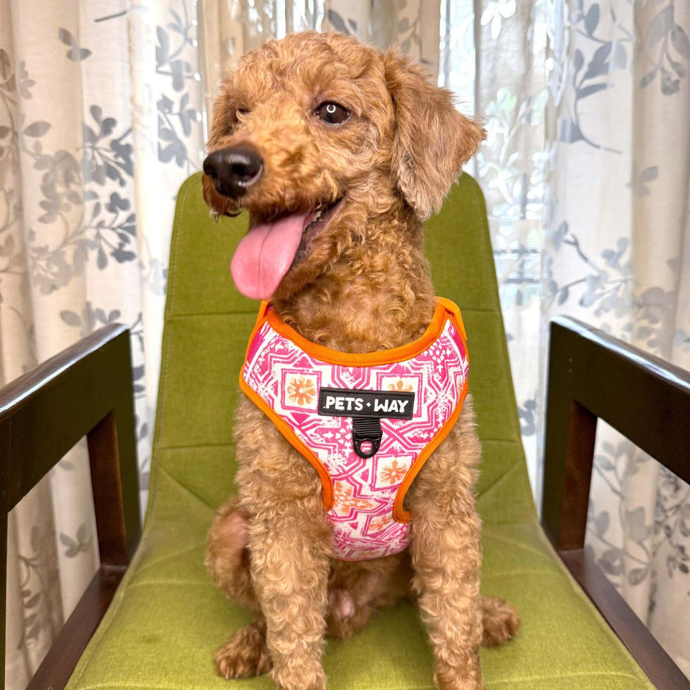 Pets Way Vest Harness For Dogs