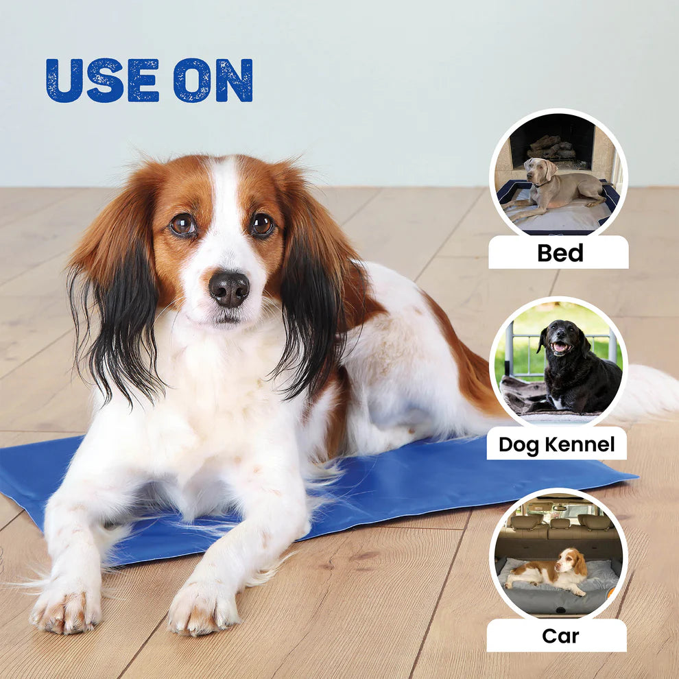 Trixie- Cooling Mat For Dogs (Blue)