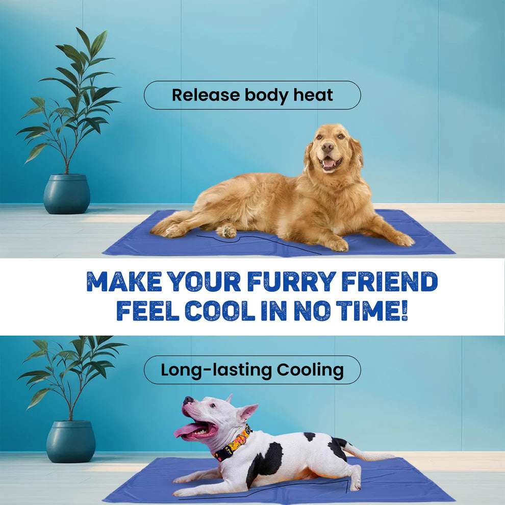 Trixie- Cooling Mat For Dogs (Blue)