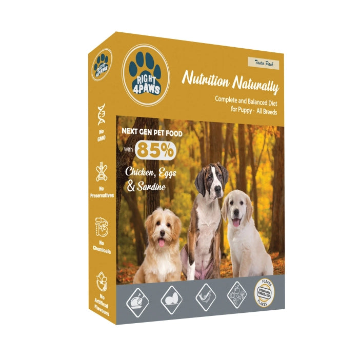 Right4Paws-Taster Dry Food Pack for Puppy