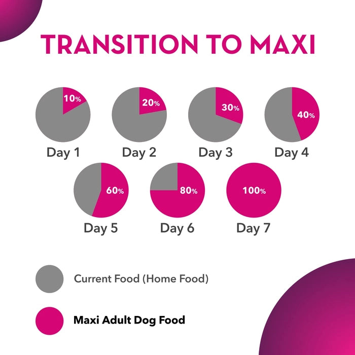 Maxi- Adult Dry Dog Food with Chicken and Liver