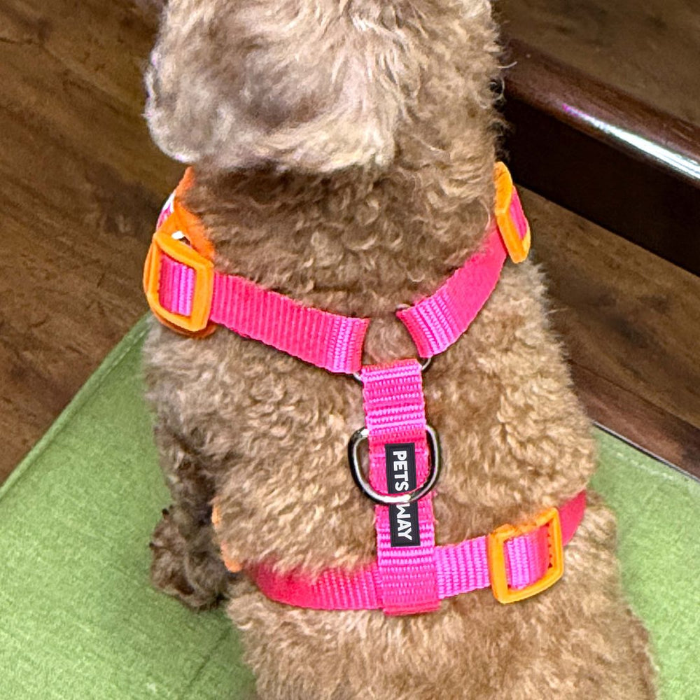 Pets Way Vest Harness For Dogs