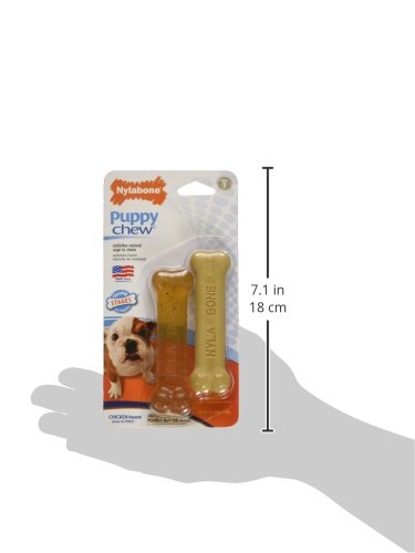 Nylabone - Puppy Chew And Power Chew Bone Twin Pack