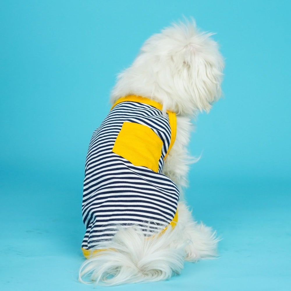 Pets Way Zebra Fetch Vest for Dogs