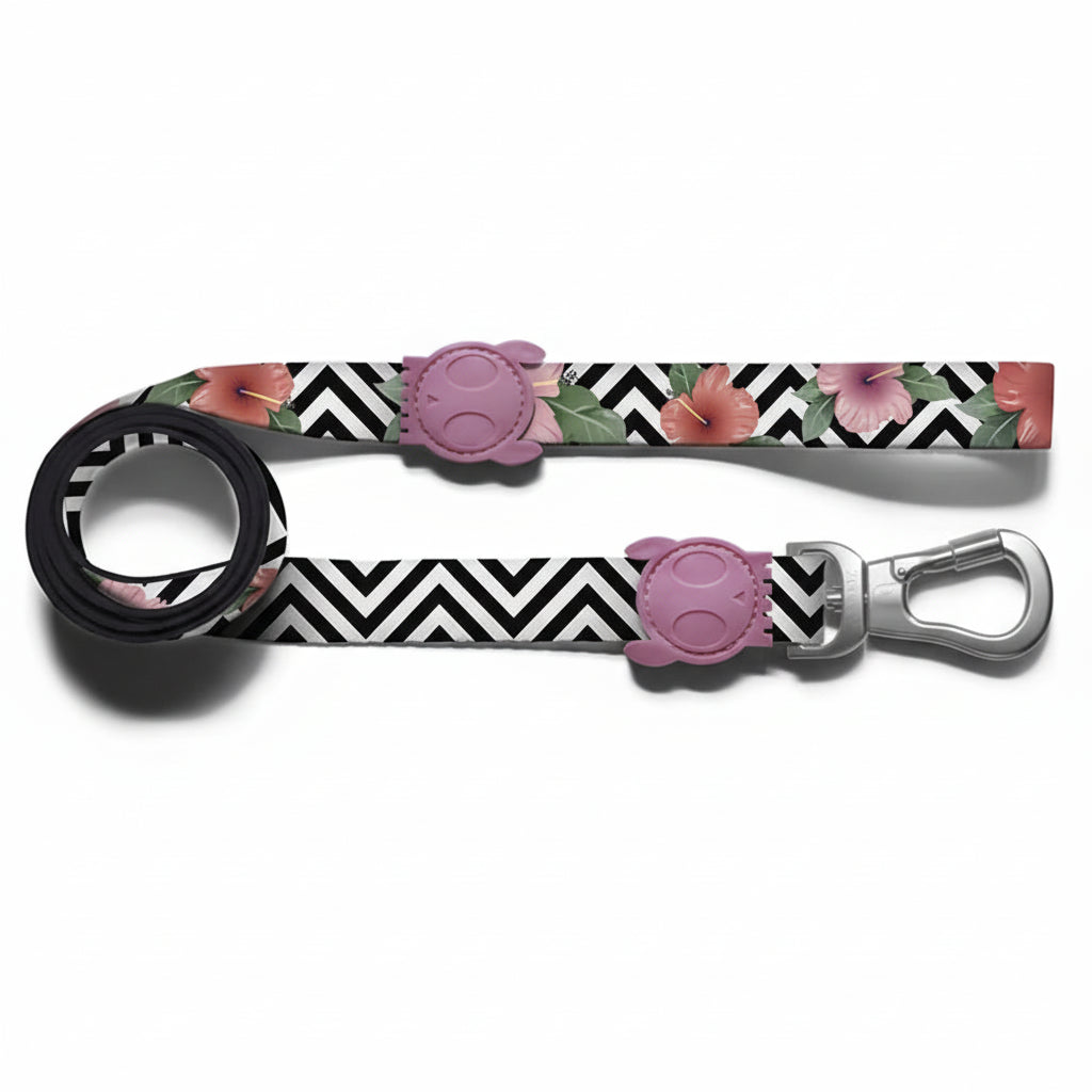 Zee Dog Leash for Dogs