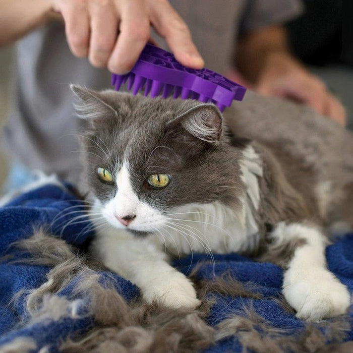 Kong - Zoom Groom Bathing Brush for Cats