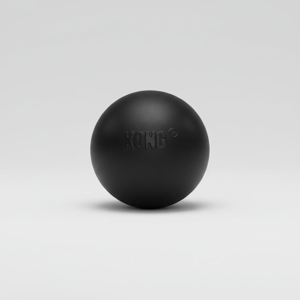 Kong Ball Dog Chew Toy