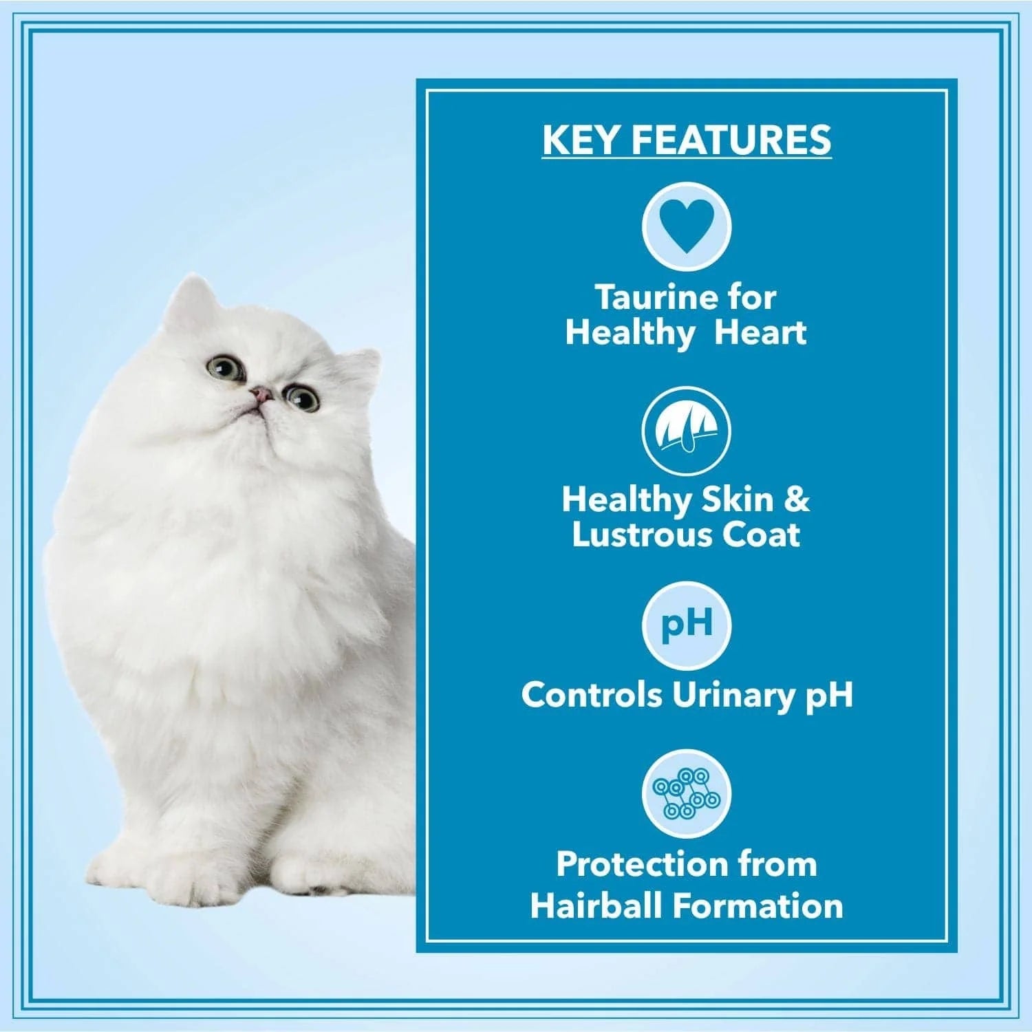 Let's Bite- Active Persian Cat Ocean Fish Dry Food