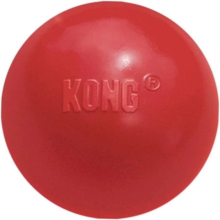 Kong-Ball with Hole Dog Fetch Toy