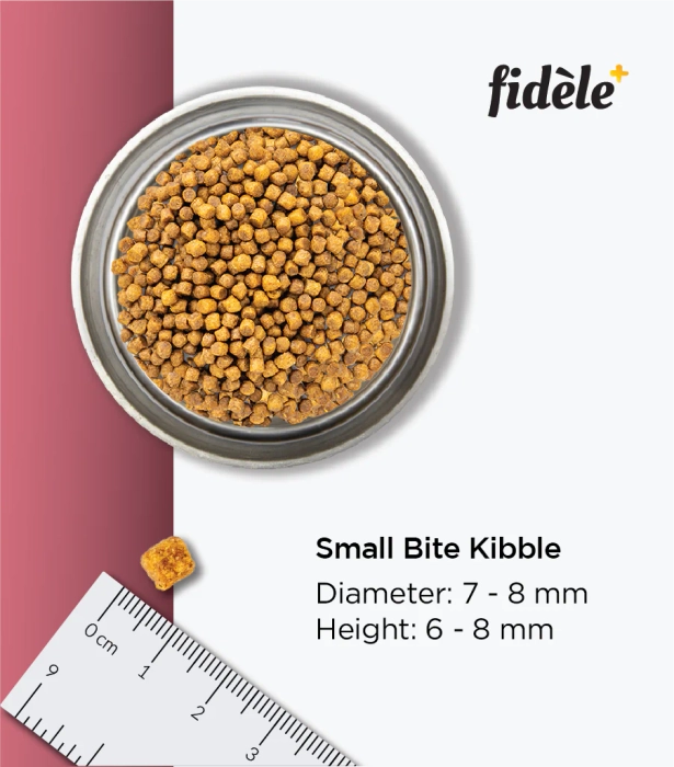 Fidele - Small and Medium Puppy Dry Dog Food