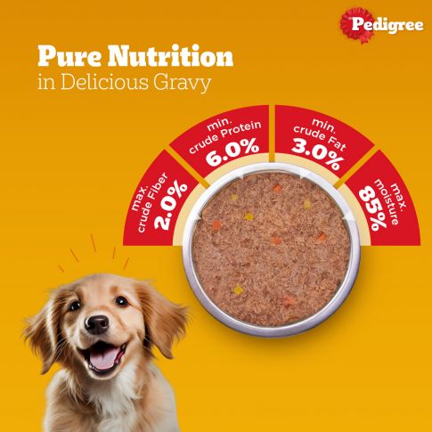 Pedigree- Puppy Wet Dog Food